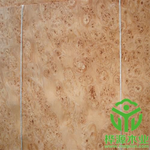 楓木樹榴木皮0.5mm價(jià)格實(shí)惠，楓木樹榴木皮質(zhì)量保證